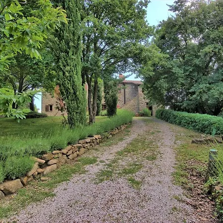 Col Di Forche